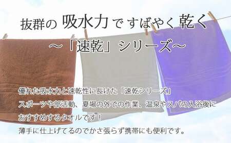 【今治タオル】【Hello!NEW タオル】「速乾」シリーズ　バスタオル3枚セット（ブラウン）（ご自宅用）