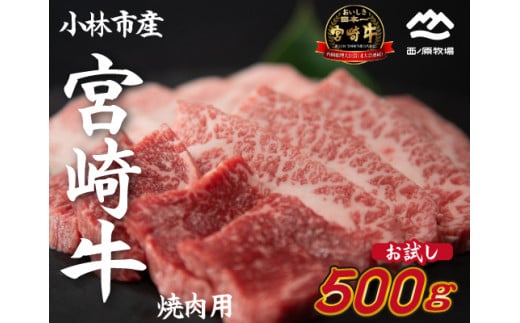 【内閣総理大臣賞 4大会連続受賞】宮崎牛 おためし焼肉 500g×1P（宮崎牛 黒毛和牛 お肉 モモ ウデ すき焼き 焼肉 赤身）