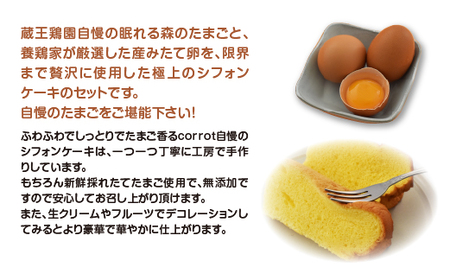 眠れる森のたまごとシフォンケーキのセット　【04301-0791】