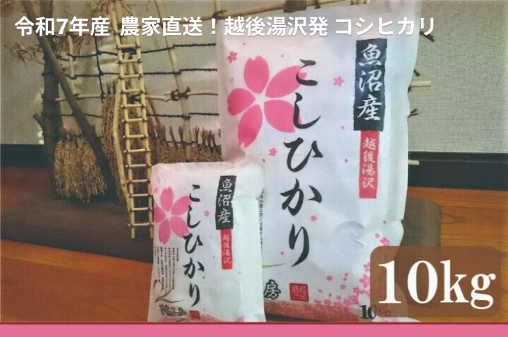 
            令和7年産 白米10㎏ 農家直送！越後湯沢発 さくらファーム 南魚沼最上流域【湯沢産コシヒカリ】
          