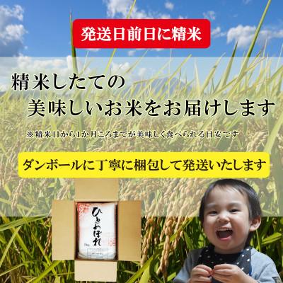ふるさと納税 盛岡市 令和7年産 ひとめぼれ 無洗米 お米マイスター推奨 盛岡市産 精米 5kg |  | 03