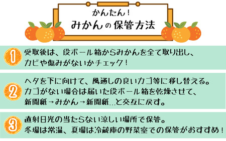 【2024年11月発送】農園直送！完熟有田みかん　3ｋｇ　※北海道・沖縄・離島配送不可【ard002-2A-1】