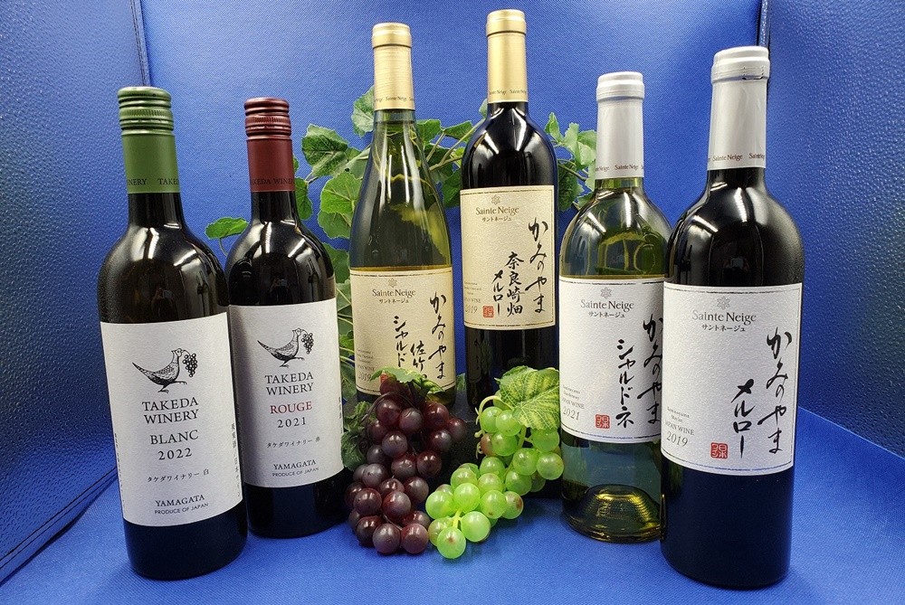 
                  【２０２６年６月～発送】サントネージュかみのやまとタケダワイナリーのワクワクセット（７５０ｍｌ×６本）　0141-2613
                