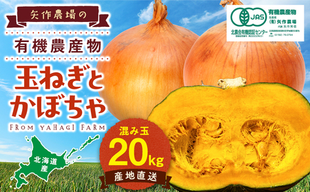 【先行受付】R8年産 有機栽培玉ねぎ・かぼちゃセット 合計20kg | 玉ねぎ たまねぎ タマネギ 玉葱 かぼちゃ カボチャ 南瓜 セット 詰め合わせ 大容量 オニオン パンプキン 甘い 有機栽培 国産 産地直送 北海道 津別町 送料無料