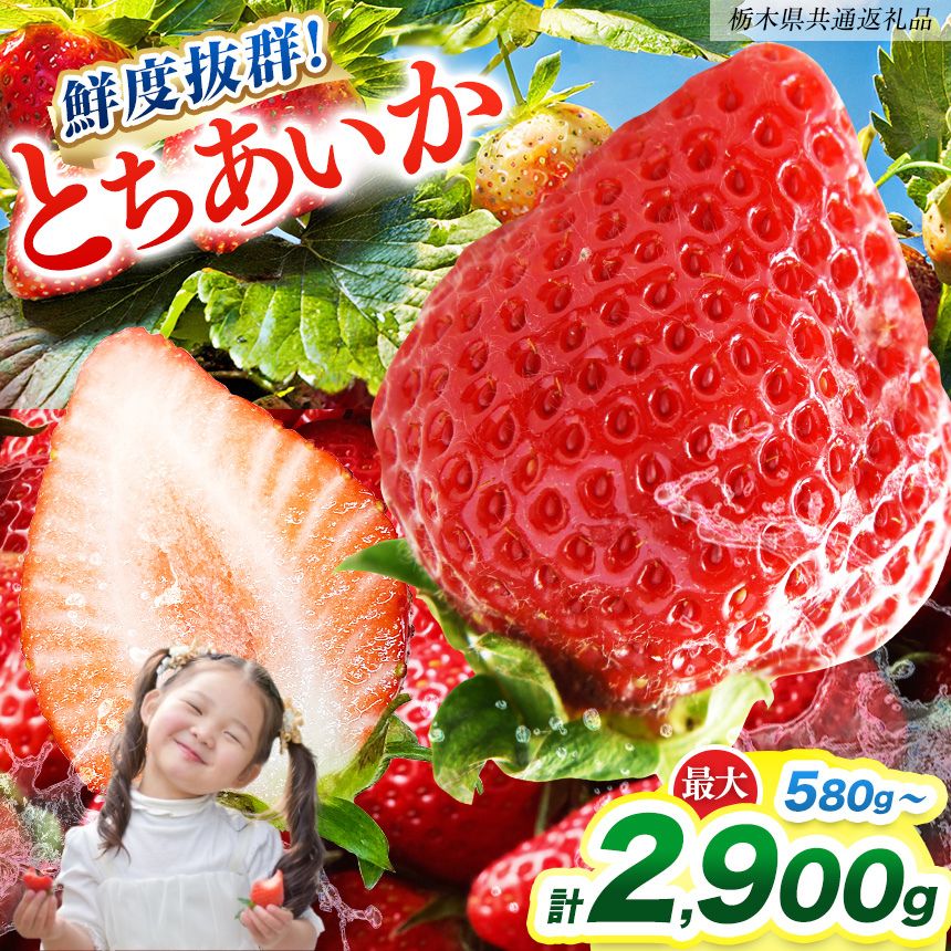 【ふるさと納税】 いちご 苺 定期便 新鮮 とちあいか フルーツ 数量 限定 先行予約 産地直送 |【栃木県共通返礼品】 290g 2P 4P 6P 8P 10P 栃木県産 フルーツ スイーツ デザート 果物 果実 栃木県 矢板市