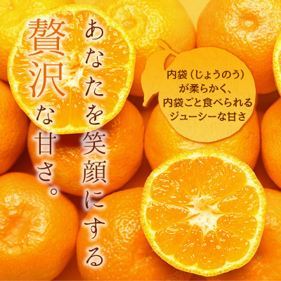 【先行受付】JAおちいまばり 瀬戸の晴れ姫(はれひめ)4kg、12月〜1月に発送【1086043】