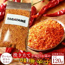 【ふるさと納税】【定期便全12回】一味 唐辛子 合計120g(1回10g) TAGATAME タガタメ【一味 唐辛子 とうがらし 香川県 さぬき市】