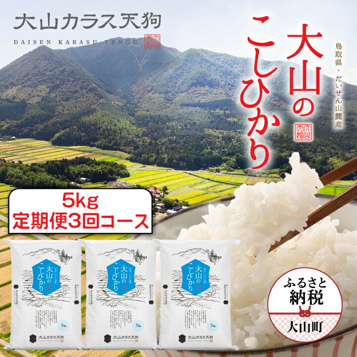 【先行予約】【ふるさと納税】 KT-04 大山のこしひかり (白米5kg×3回) 【令和8年10月以降発送】 大山カラス天狗 米 料理用 家庭用 鳥取県 鳥取県産 大山町 大山 料理 国産 鳥取 コシヒカリ こしひかり 大山産