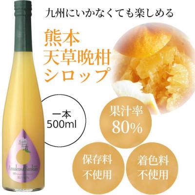 ふるさと納税 水俣市 九州を飲む! 九州果実 シロップ 天草 晩柑 500ml 1本 【福田農場】 |  | 01