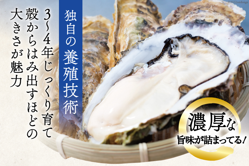 【期間限定発送】 TVで紹介！ 牡蠣 3～4年モノ 生食 殻付き牡蠣 約3kg(約16-18個入) [住喜水産 宮城県 気仙沼市 20564186] 期間限定 冷蔵 新鮮 濃厚 真牡蠣 カキ かき 生