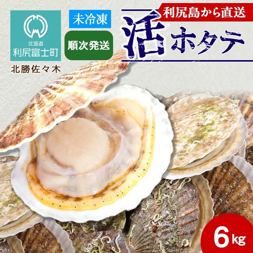 活ホタテ6kg！~2026年順次発送~北海道利尻島から直送！【北勝佐々木】