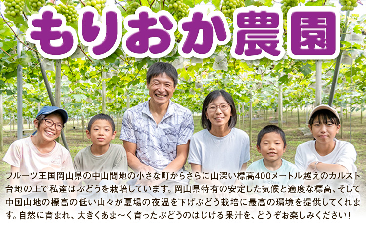 【先行予約】ぶどう ご家庭用 ピオーネ 約5kg (7房～13房) もりおか農園《9月上旬-10月上旬頃出荷》岡山県 浅口市 送料無料 ぶどう フルーツ 果物 くだもの デザート おやつ【配送不可地域