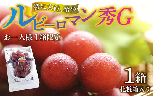 【先行予約】【2027年収穫分】  ルビーロマン 秀G（1箱）【2027年8月以降順次発送】 ｜希少 貴重 数量限定  ぶどう ブドウ 葡萄 種なし ジューシー 甘い 大粒 大きい  宝石 るびー ギフト かほく市 能登 入口