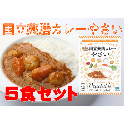 
                  30種のスパイスを使用　国立薬膳カレーやさい　200g×5食セット　小麦粉・ラード不使用【1594565】
                