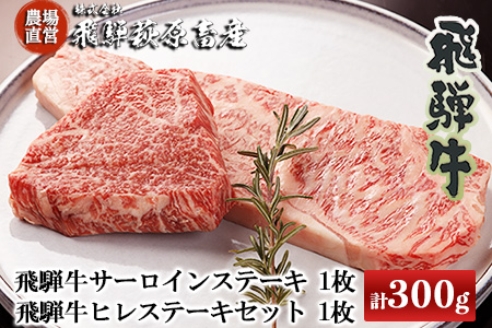 2種類の部位を食べ比べ！飛騨牛ステーキセット （サーロイン 200g×1枚・ヒレ 100g×１枚）最高級 国産 牛肉 和牛 ブランド牛 【22-21】【冷凍】