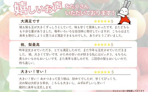 No.2037フルーツ２種定期便 桃約５kg、梨約５kg 【2025年発送】
