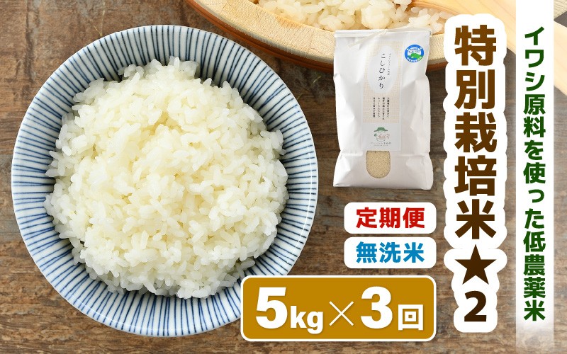 
                  【先行予約】【令和8年産】 定期便《3ヶ月連続お届け》特別栽培米コシヒカリ5kg×3回（計15kg) 低農薬 / 北陸 福井県産 あわら市 ブランド米 白米 お米 コメ 特栽米 ※2026年10月上旬以降順次発送 [aw056-c001]
                