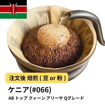 ふるさと納税 堺市 【豆】コーヒー #066 ケニア AB トップ クィーン アリーヤ Qグレード 310g