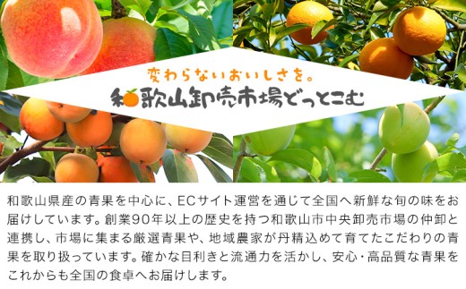 レモン 訳あり 黄色 檸檬 9kg (1kgあたり5-12玉前後) 株式会社農業福祉研究機構《2026年12月上旬-2027年2月上旬頃出荷》和歌山県 紀の川市 フルーツ 果物 お取り寄せフルーツ