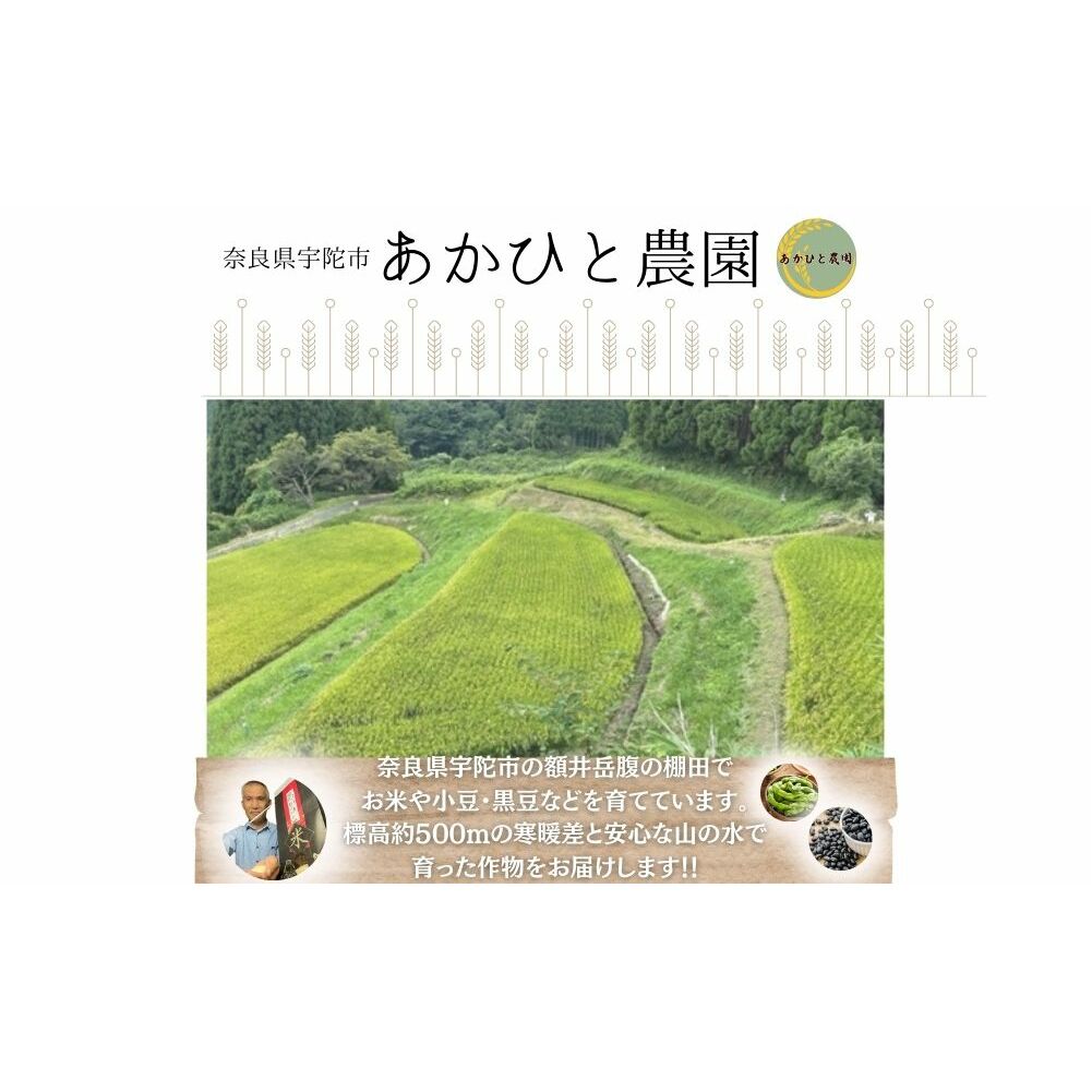 定期便3ヶ月 10月頭〜発送 にじのきらめき あかひと米 5kg／ あかひと農園 米 白米 精米 令和6年産 R6 2024年産 奈良県 宇陀市 ふるさと納税 送料無料_イメージ5