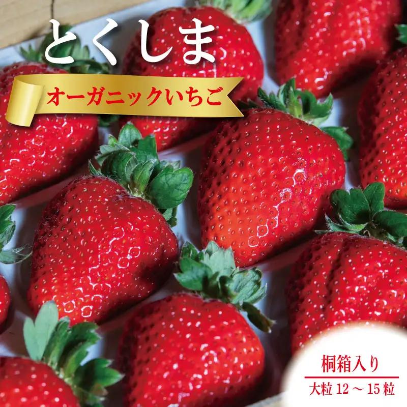 オーガニック いちご 大粒 約12～15粒 桐箱入り 《1月末から5月発送》 有機JAS認証 ORGANIC 甘い 苺 果物 フルーツ 産地直送 新鮮 ストロベリー ジャム スムージー 期間限定 徳島