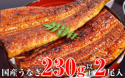 【数量限定】超特大サイズ国産うなぎ蒲焼き2本セット （230～249g×2本）(A632-2)