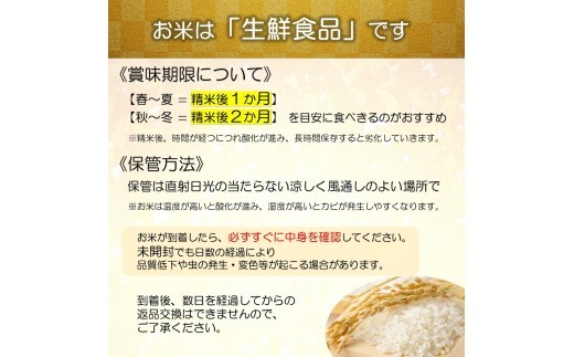 【令和8年産 新米 先行予約】 特別栽培米 雪若丸 (精米) 10kg 