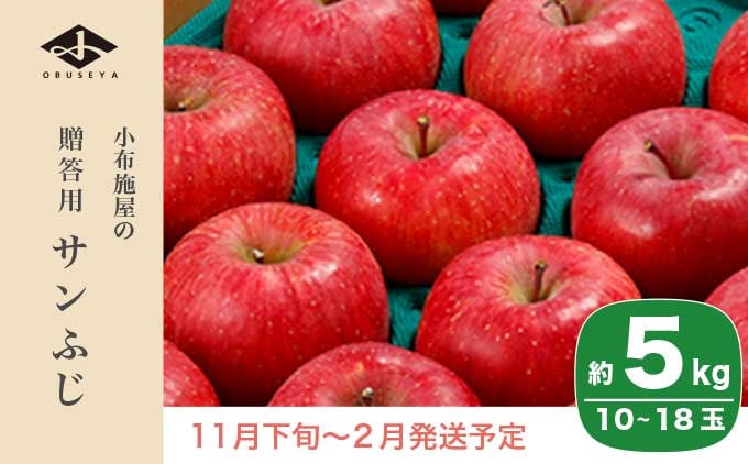 
             サンふじ 贈答用 約5kg 10～18玉 ［小布施屋］ りんご 林檎 リンゴ  果物 フルーツ 令和7年産【2025年11月下旬～2026年2月発送】［A-209］
          