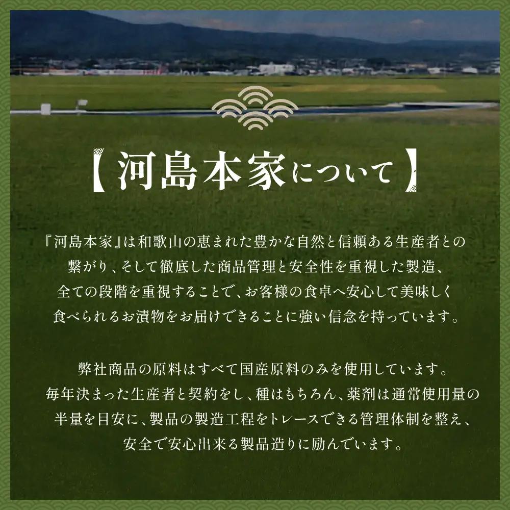 国内産 原料使用 醤油みそ漬 3本 セット 河島本家