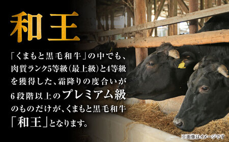 くまもと 黒毛和牛 和王 ミスジ ステーキ 約450g（約150g×3枚）ミスジステーキ[AYBR012]