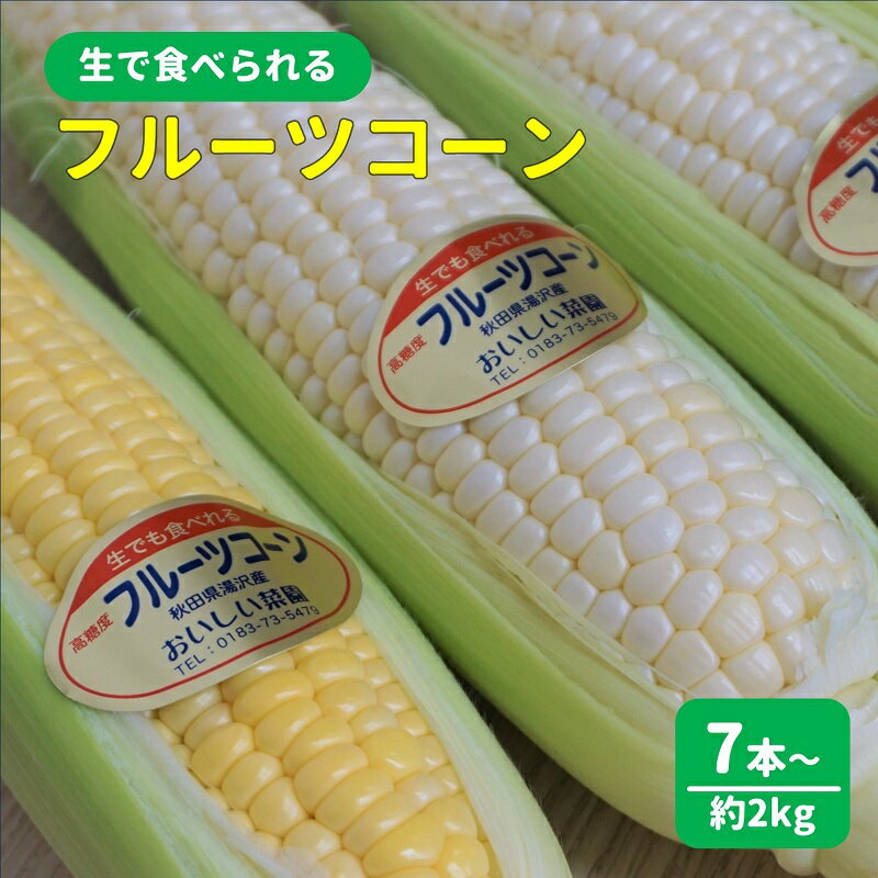 【ふるさと納税】夏限定・生で食べられる完熟とうもろこし【おいしい菜園】[B3101]