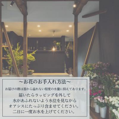 ふるさと納税 中間市 【margue】季節のアレンジメントフラワーA　〜6月より順次発送〜 |  | 03