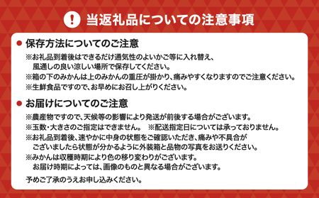 先行予約 不知火 約4kg 15個前後 2027年2月上旬から3月下旬発送予定 ひでみかん
