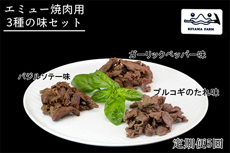 【5か月定期便】エミュー焼肉用3種の味セット【エミュー 基山産 高タンパク 高鉄分 低カロリー ヘルシー ジビエ 貴重肉 鉄分補給】F1-A006302