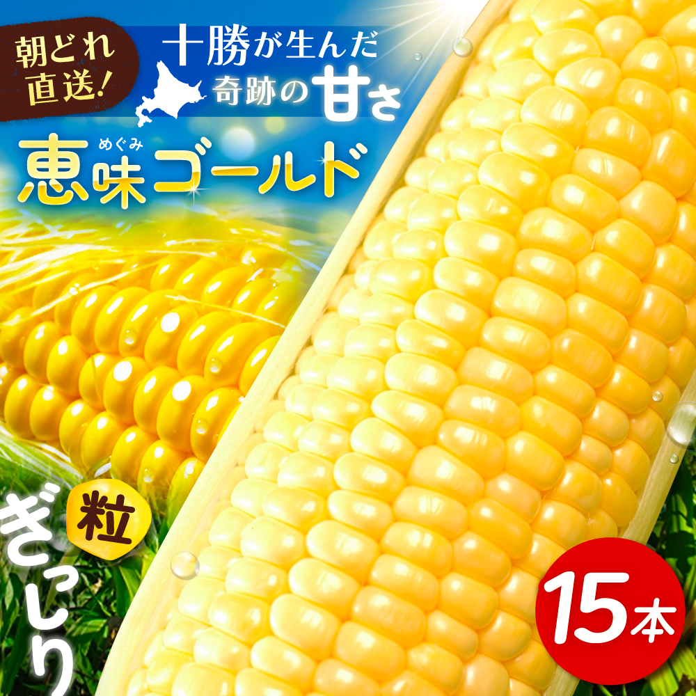 【先行予約】北海道 朝もぎ とうもろこし 15本（恵味ゴールド）【8月上旬以降発送】《足寄町》【党崎農場】トウモロコシ とうもろこし 甘い 野菜 採れたて野菜 新鮮 農家 おすすめ 北海道土産 ゴールド gold 北海道産 あしょろ 北海道 [BEAA004]