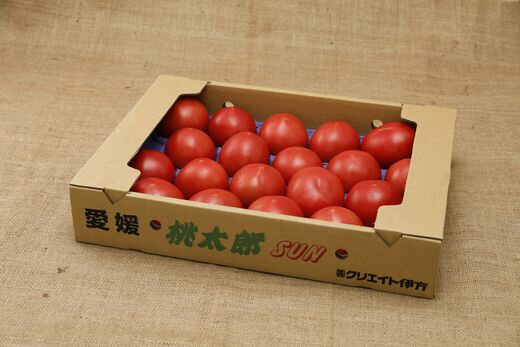 【ふるさと納税】【産地直送】愛媛県伊方町産 桃太郎トマト（4kg、20～24玉） 【ふるさと納税 人気 おすすめ ランキング 桃太郎 トマト 桃太郎トマト 産地直送 クリエイト伊方 愛媛県産 愛媛県 伊方町 送料無料】 IKTI007