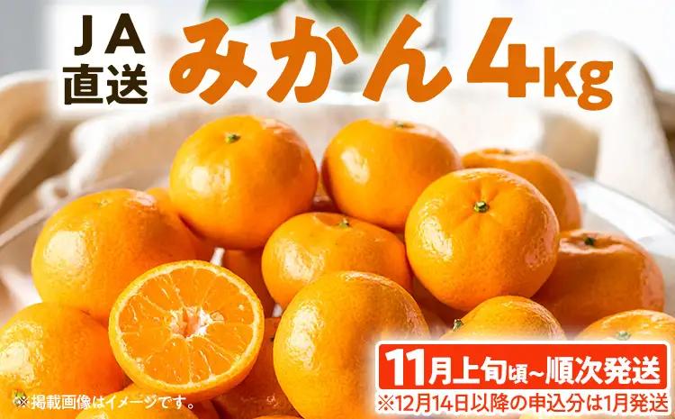 期間限定 みかん 4kg【11月上旬頃から順次発送】みかん
