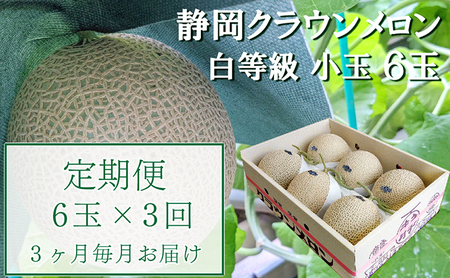クラウンメロン 並(白等級) 小玉 静岡県産 クラウンメロン【1.1kg前後 6玉】【3か月定期便】