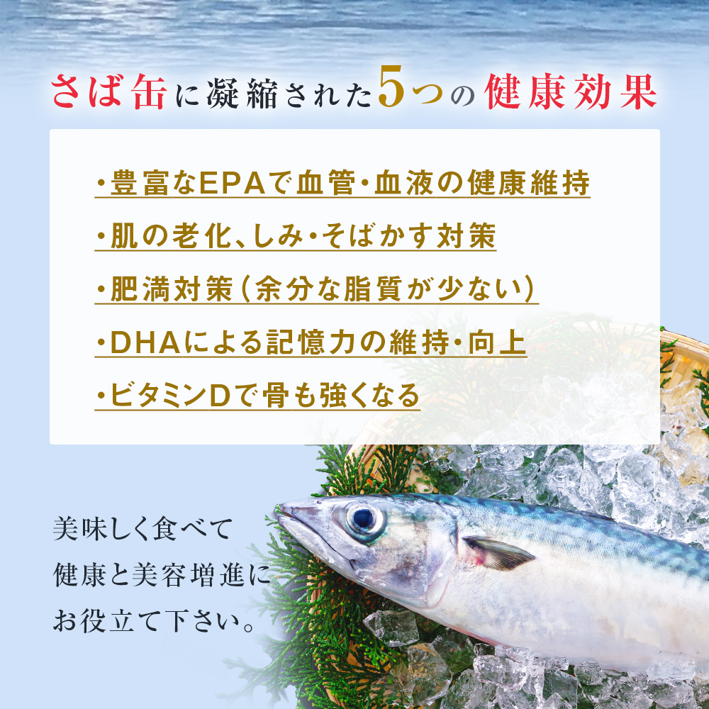 【2月配送】缶詰 さば缶詰 水煮 12缶 サバ缶 鯖缶 さば缶 鯖 