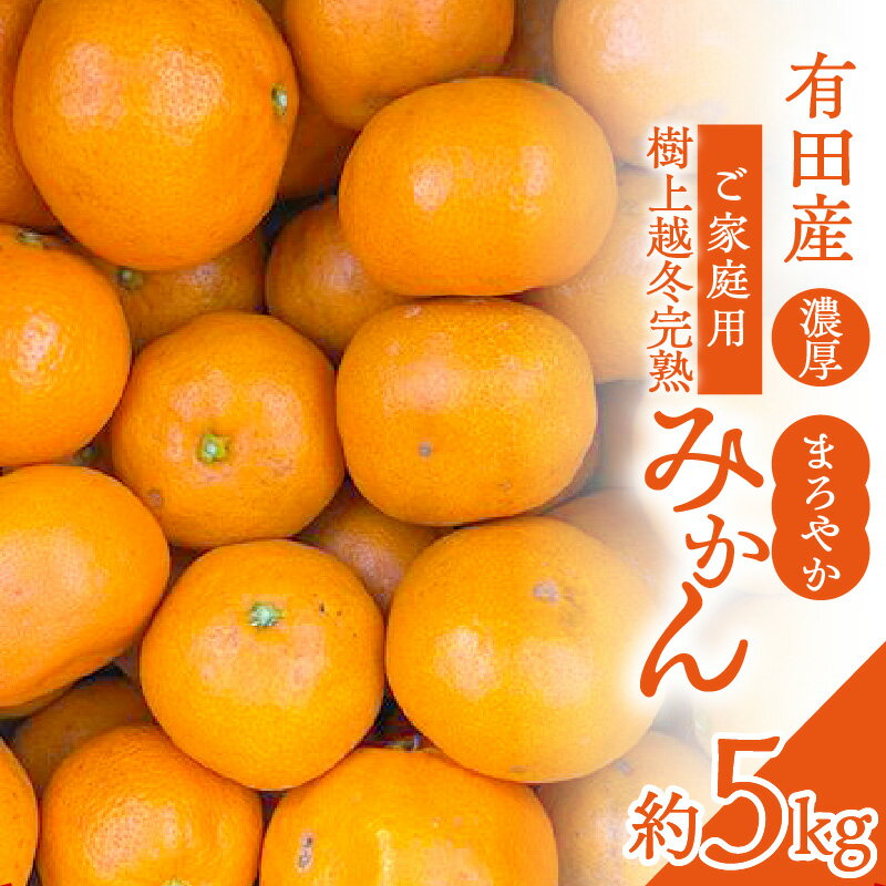 【ふるさと納税】有田産 樹上越冬 完熟みかん 約5kg ご家庭用 サイズ混合 濃厚 まろやか 熟成 甘い 薄皮 みかん フルーツ 柑橘 果物 果実 果汁 栄養 高品質 温州みかん 有田みかん デザート 国産 お取り寄せ 和歌山県 湯浅町 送料無料