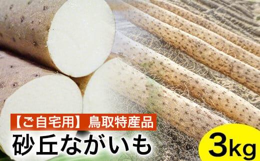 753.【ご自宅用】鳥取特産品　砂丘ながいも（カット）3kg 313726_BR001