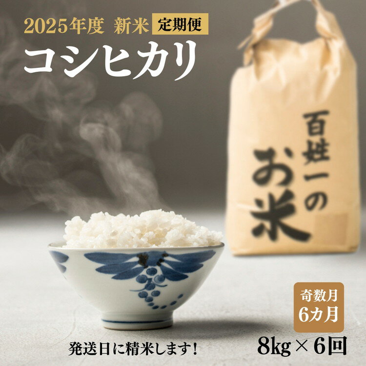 【ふるさと納税】128-1002　【6回定期便・奇数月】石井町産コシヒカリ8kg×6カ月（奇数月） ※離島への配送不可