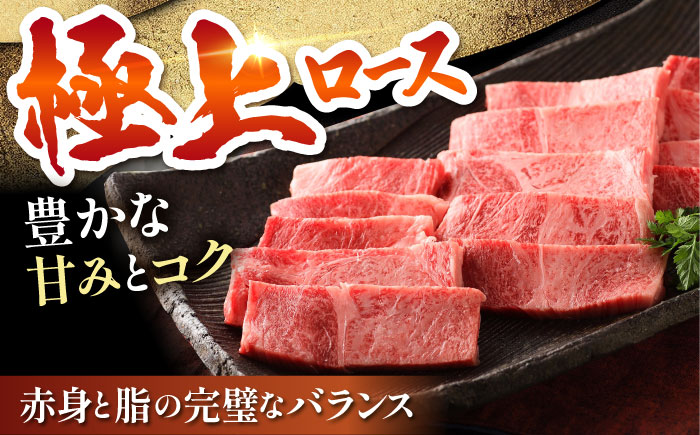 佐賀牛 ロース 焼肉用（600g）【肉の三栄】 [HAA013]