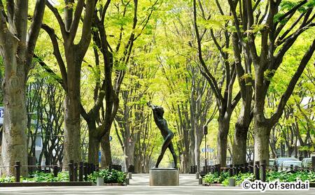 【仙台市】JTBふるさと旅行券（紙券）900,000円分【宮城県 仙台市 トラベル 宿泊 予約 人気 おすすめ】