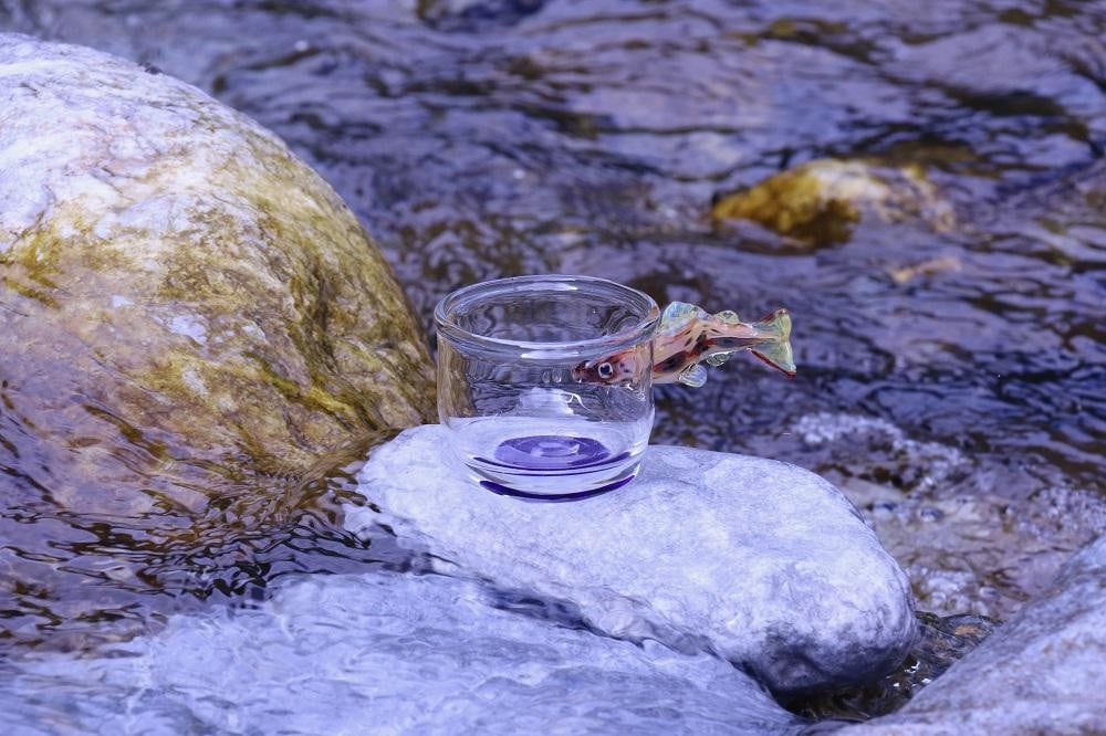 
あまごぐいのみ
