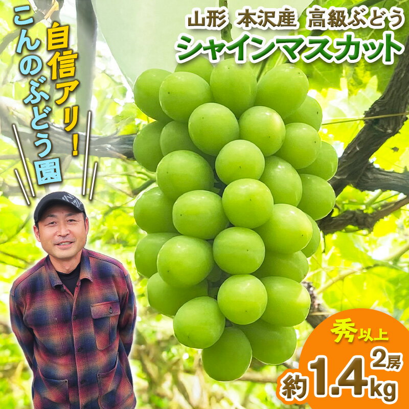 【ふるさと納税】大人気！【こんのぶどう園】山形本沢産 高級ぶどう シャインマスカット 2房 【令和8年産先行予約】FS25-720 フルーツ くだもの 果物 山形 山形県 山形市 ぶどう 葡萄 ブドウ セット 2026年産