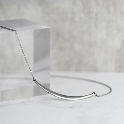 【ふるさと納税】純チタンバーネックレス(カーブプレート)42cm【1645486】