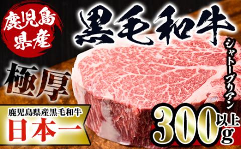 i216 鹿児島県産！黒毛和牛シャトーブリアン(300g以上)黒毛和牛肉4～5等級品をお届け！国産牛肉だから安心安全！普段の食卓に贅沢を！【スーパーよしだ】