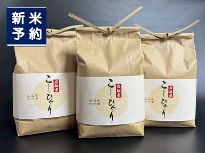 【新米受付・令和7年産米】新潟県村上市　岩船産コシヒカリ6kg（2kg×３袋）　1103001N