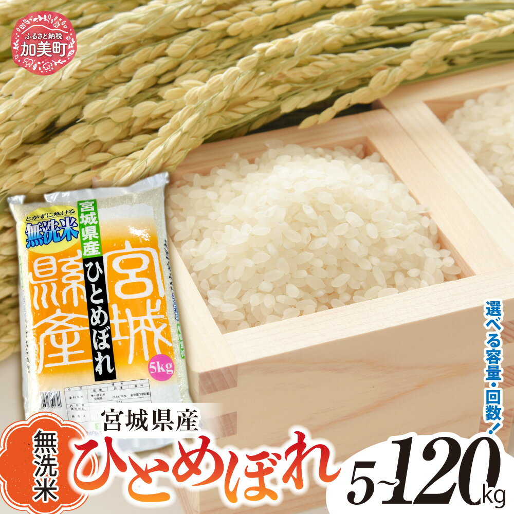 【ふるさと納税】 無洗米 定期便 5kg 10kg (5kg×2袋) ひとめぼれ 《 令和7年産 新米 予約 》 選べる回数 1〜12回 米 宮城県産 ｜ 6ヶ月 3ヶ月 12ヶ月 白米 小分け ヒトメボレ コメ 令和7年 精米 コメ 時短 便利 おいしい おすすめ かみまち 菅原精米工業 [ 宮城県 加美町 ]